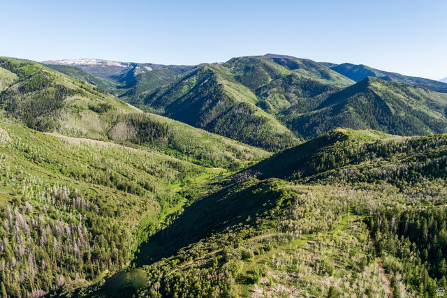 0 Weber Wild Road, Unit MV29 Kamas, UT 84036 - Photo 47 of 62