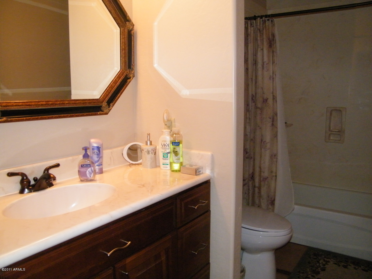 4178 North Arizona Road Apache Junction, AZ 85119 - Photo 10 of 10 Bathroom 2