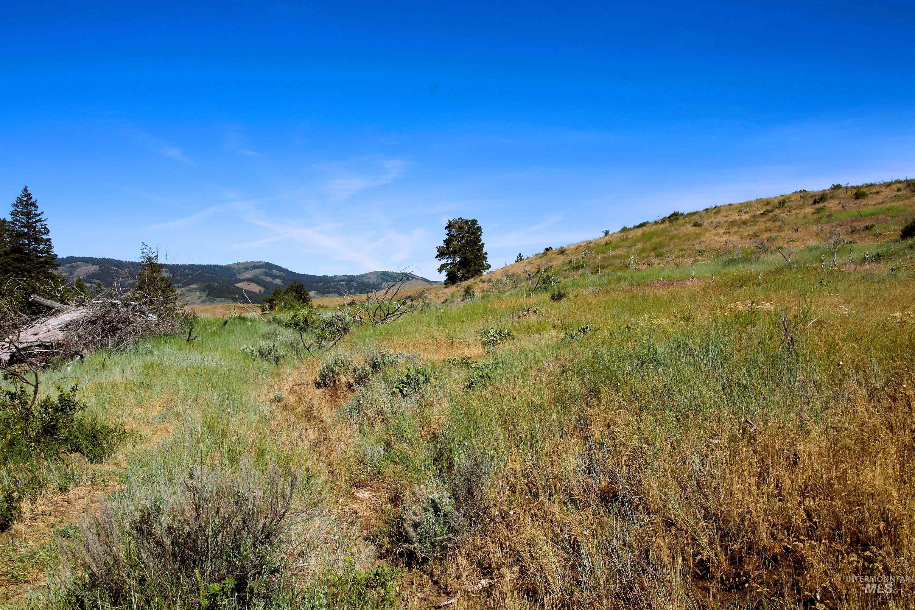 Tbd Advent Gulch Road Cambridge, ID 83610 - Photo 14 of 24