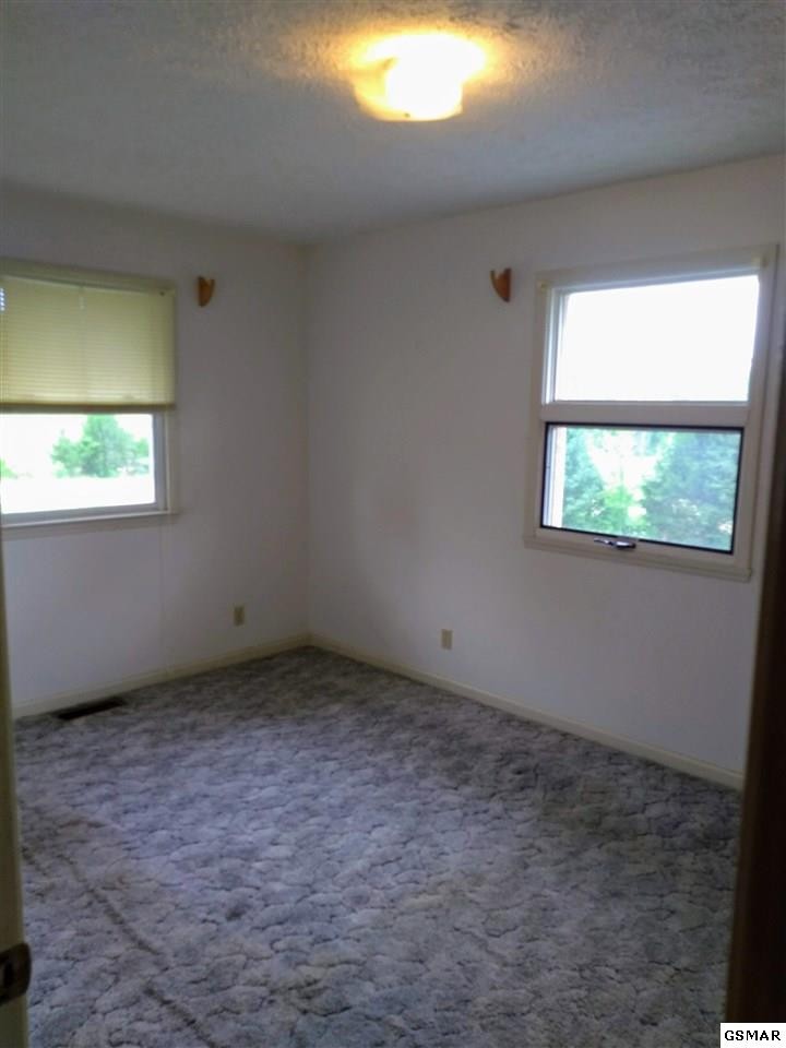 3024 Douglas Dam Road Kodak, TN 37764 - Photo 14 of 29