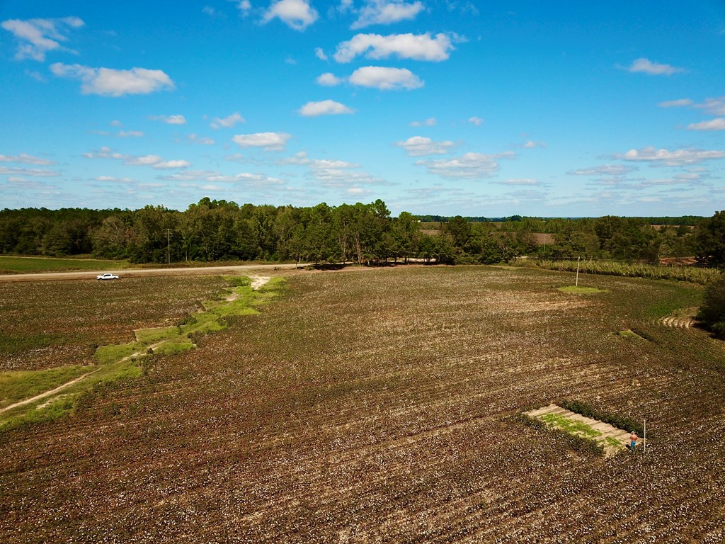 92 County Road 92 Slocomb, AL 36375 - Photo 25 of 32