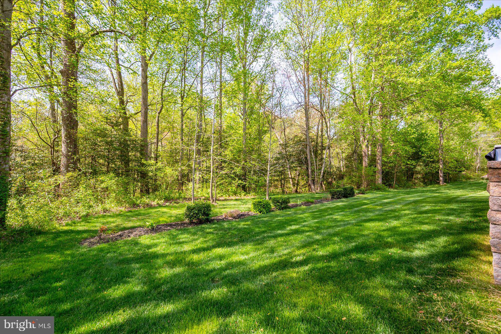 30561 Silverton Road Frankford, DE 19945 - Photo 44 of 60 a view of yard with green space and trees all around