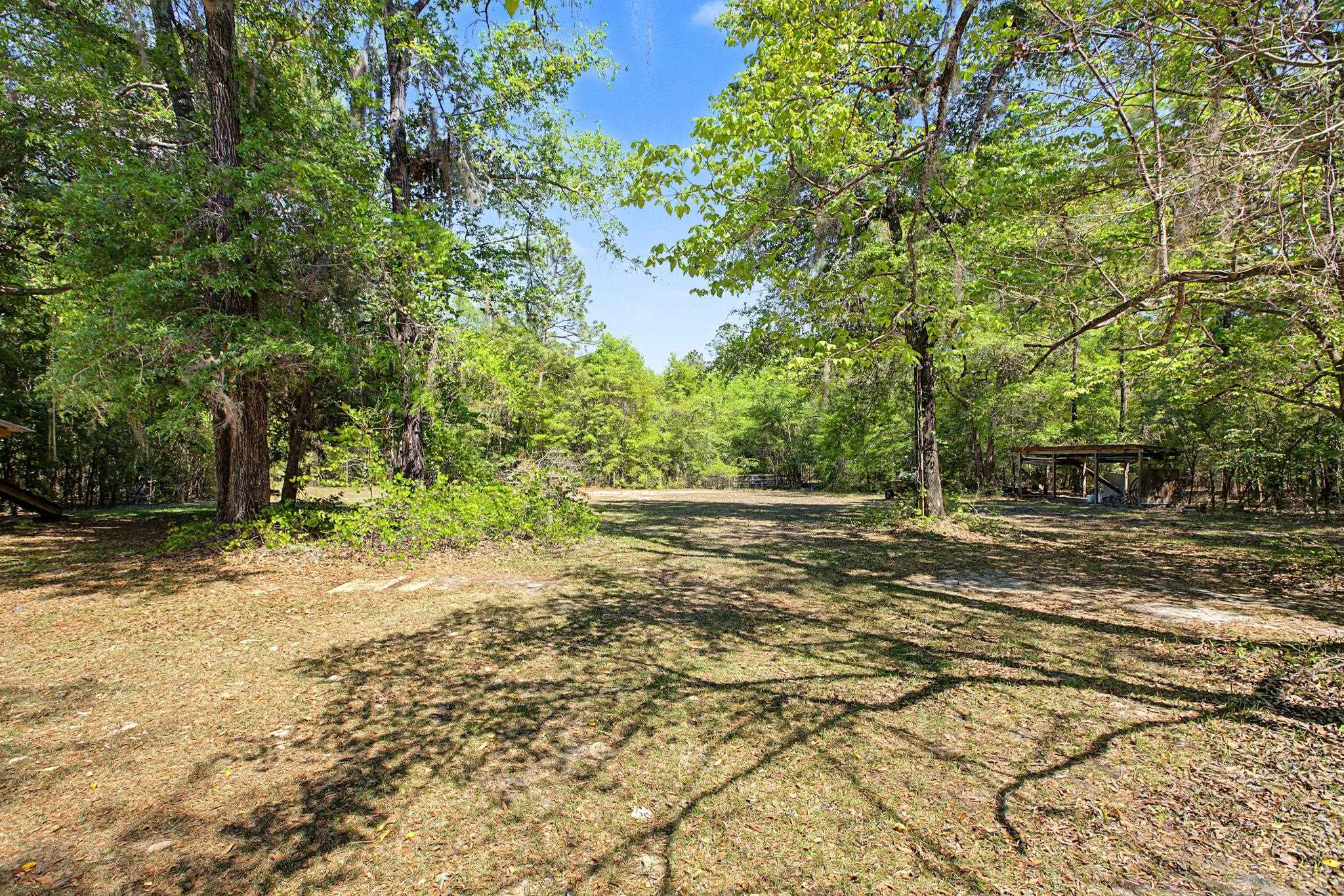 319 Sam Marks Road Crawfordville, FL 32327 - Photo 21 of 61