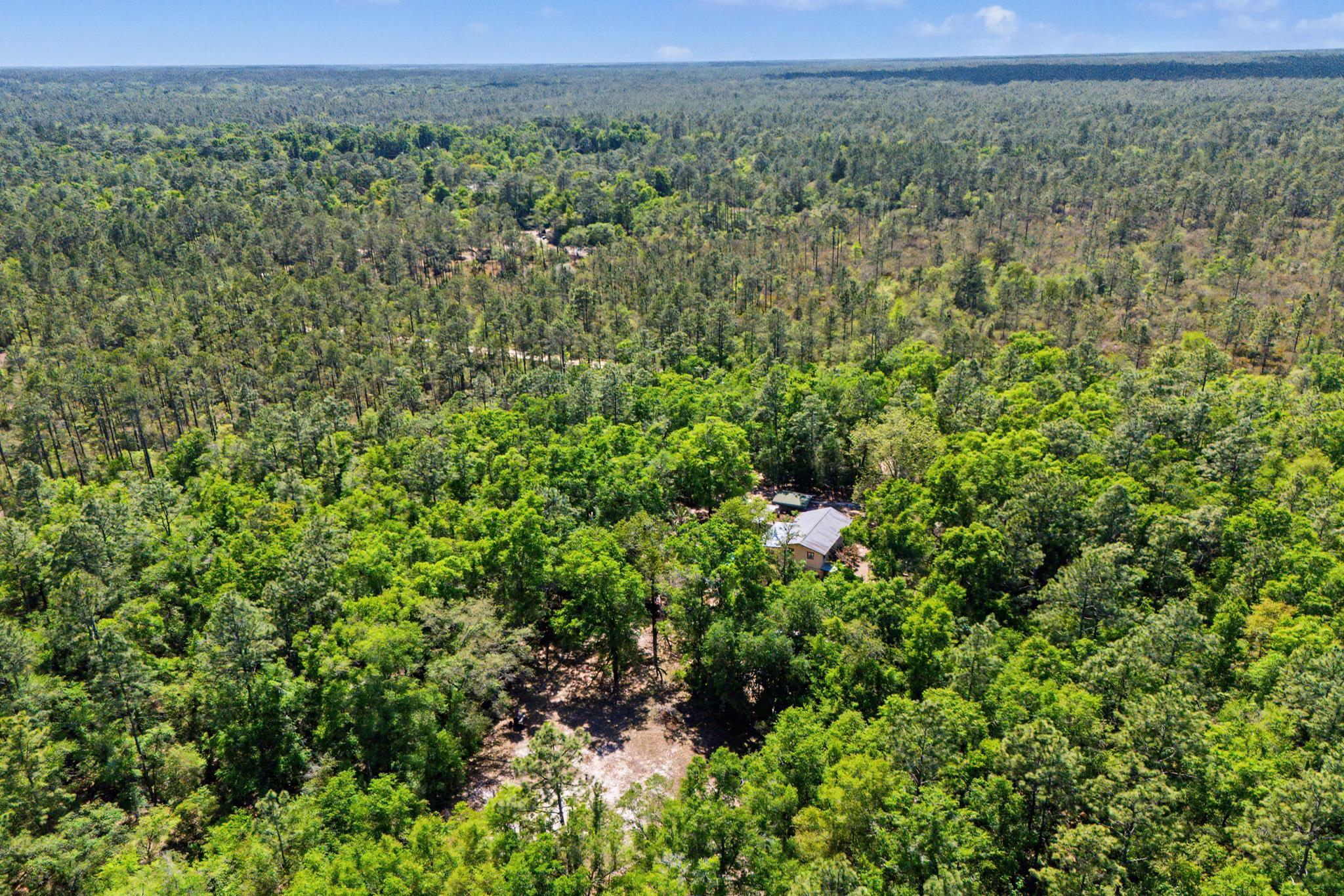 319 Sam Marks Road Crawfordville, FL 32327 - Photo 57 of 61