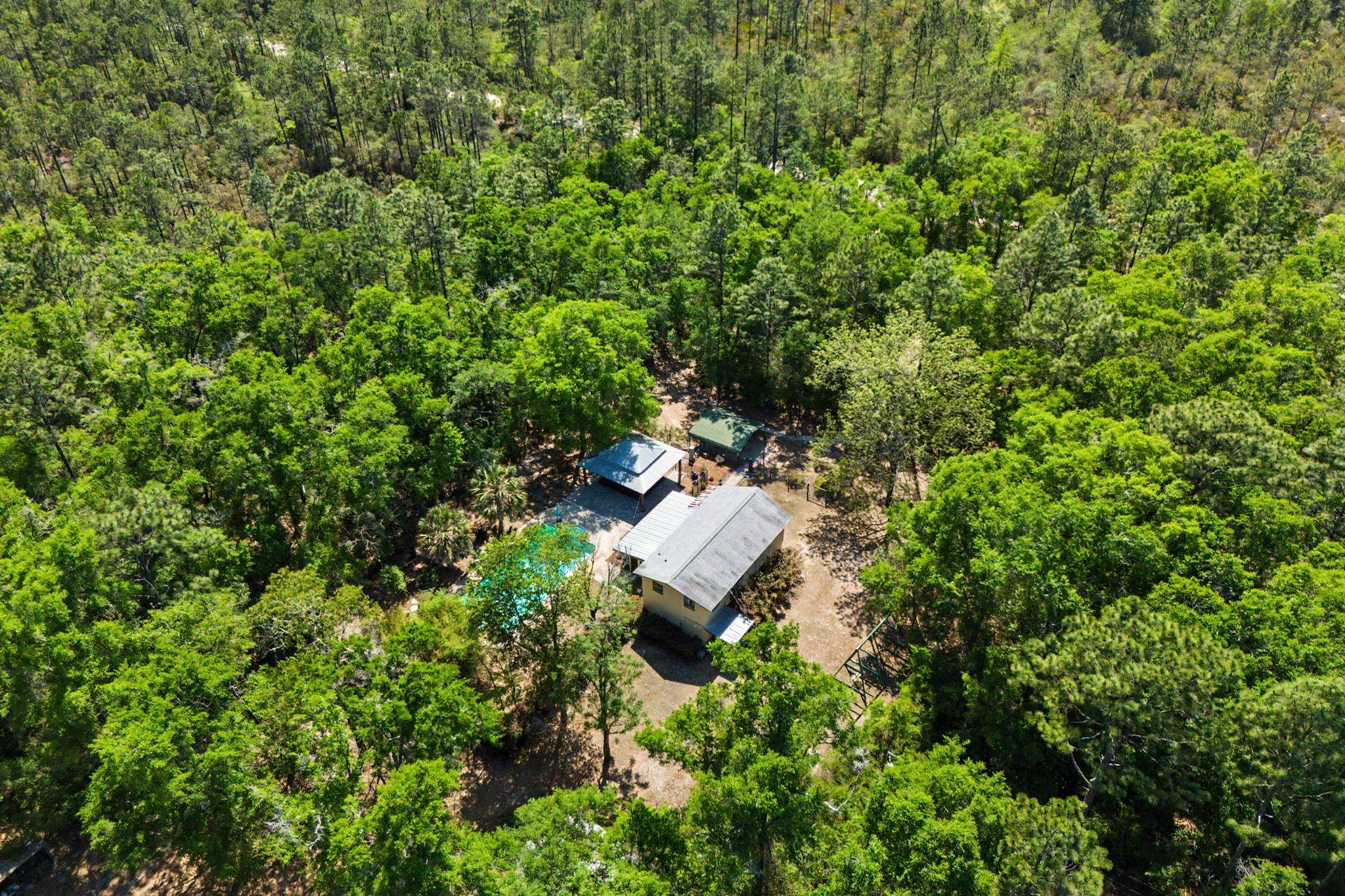 319 Sam Marks Road Crawfordville, FL 32327 - Photo 59 of 61