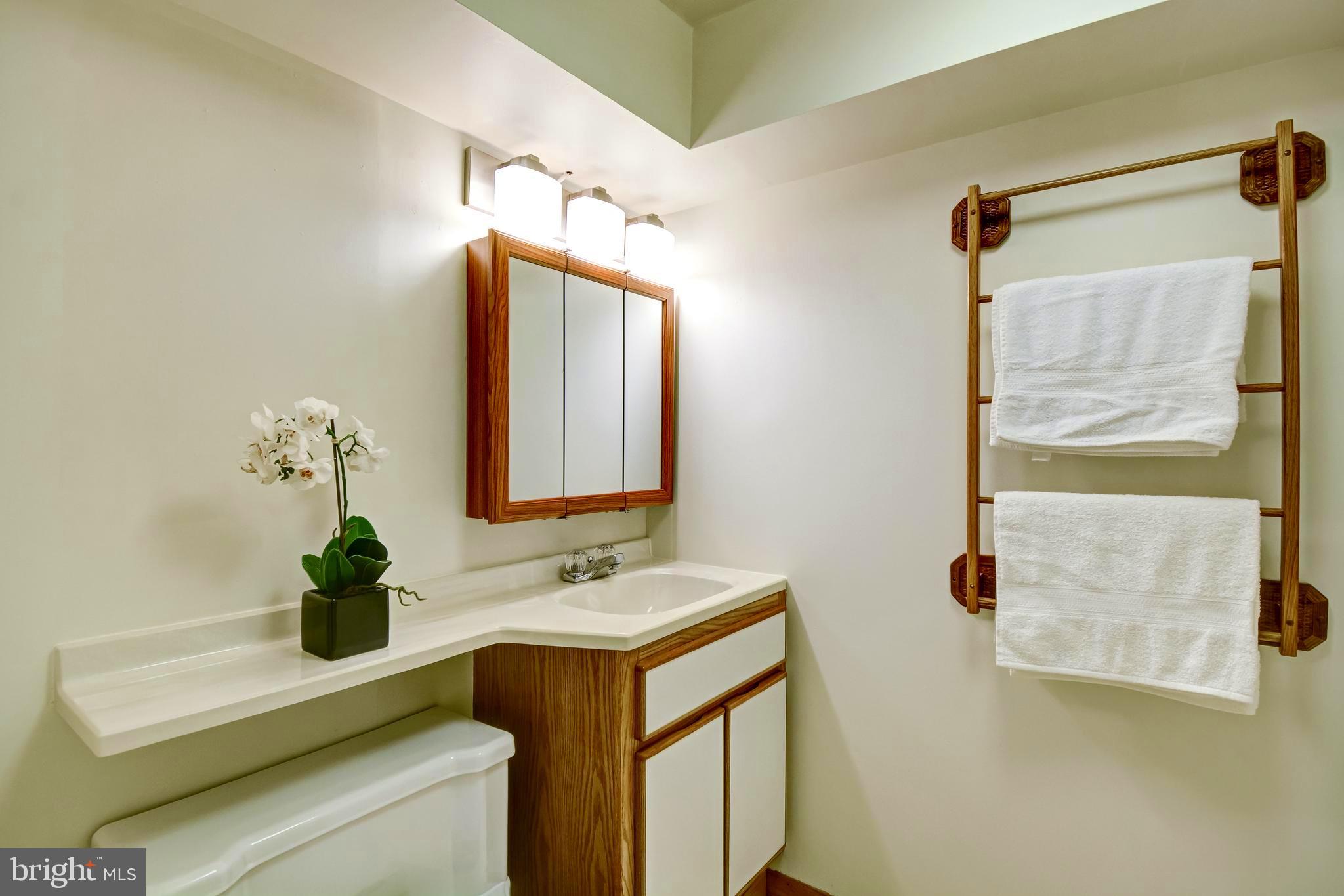 9934 Frederick Road Ellicott City, MD 21042 - Photo 36 of 59 Gallery Image 36