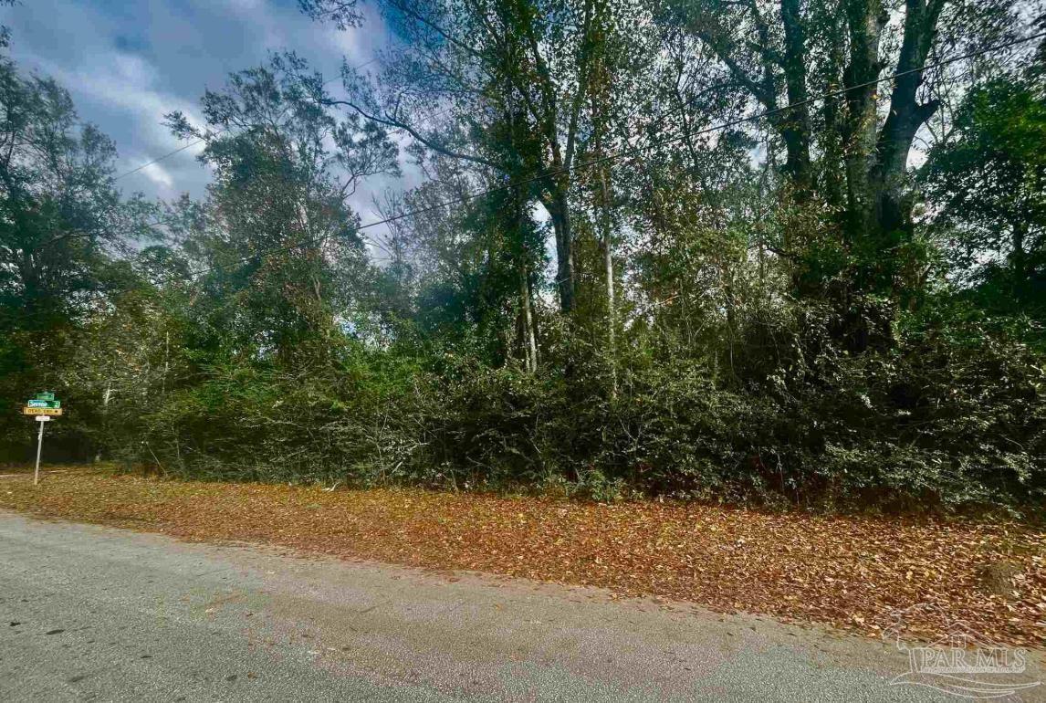 4600 Richardson Road Molino, FL 32577 - Photo 2 of 2