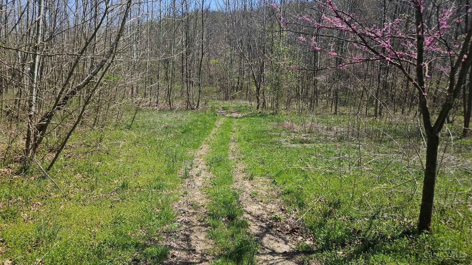 0 Spruce Hollow Road South Webster, OH 45682 - Photo 5 of 54