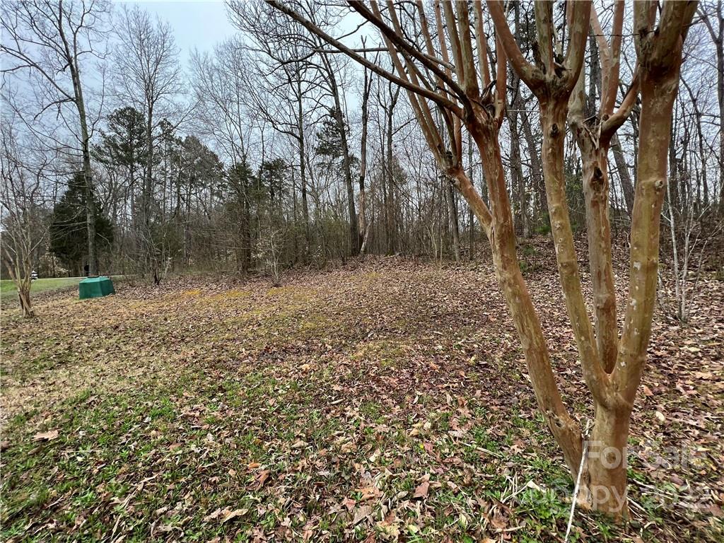 2110 Webb Road Salisbury, NC 28146 - Photo 6 of 20 Gallery Image 6