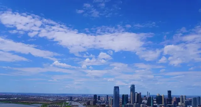 a view of a city with lots of trees