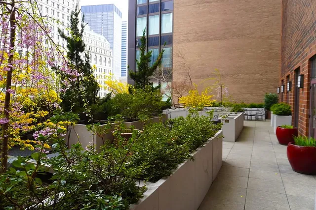 a view of a potted flower in a corridor