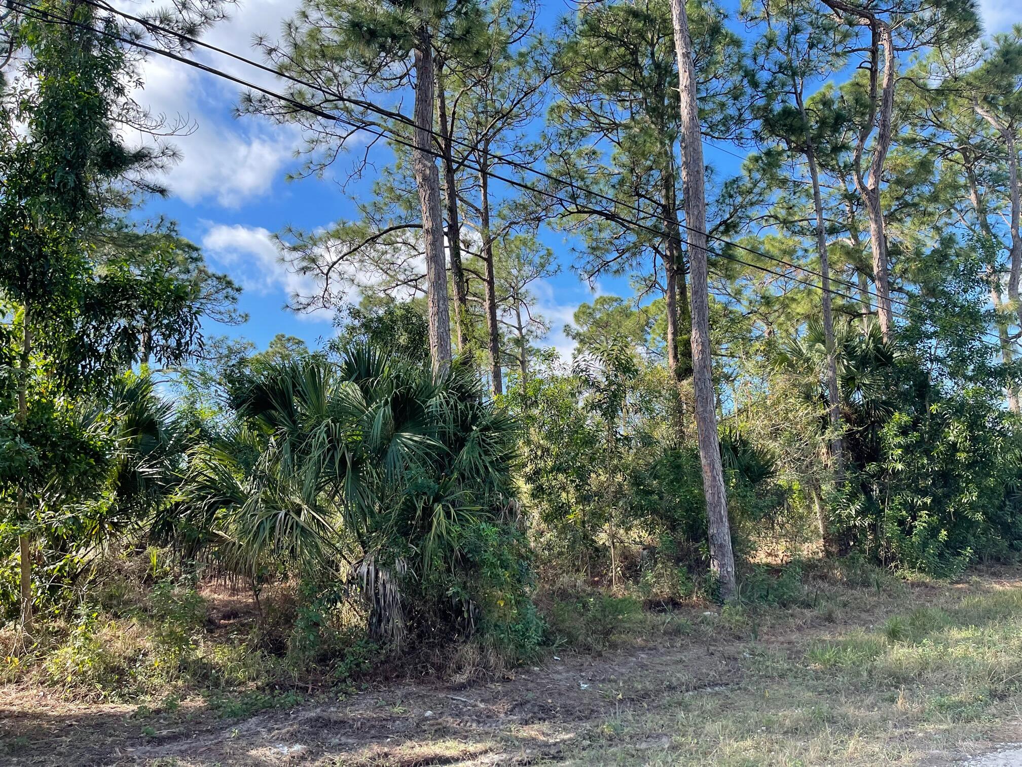 M-153 63rd Road North Loxahatchee, FL 33470 - Photo 1 of 3 63a