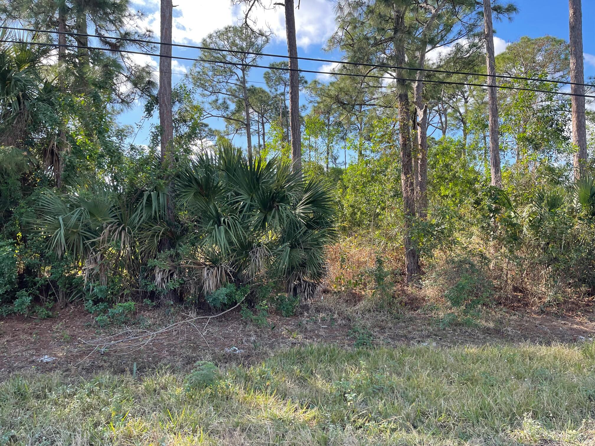 M-153 63rd Road North Loxahatchee, FL 33470 - Photo 3 of 3 63b