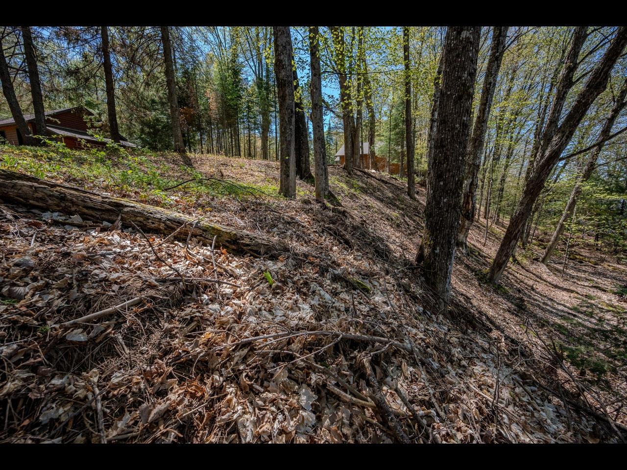 Near Harris Lake Road Presque Isle, WI 54557 - Photo 7 of 16 Gallery Image 7