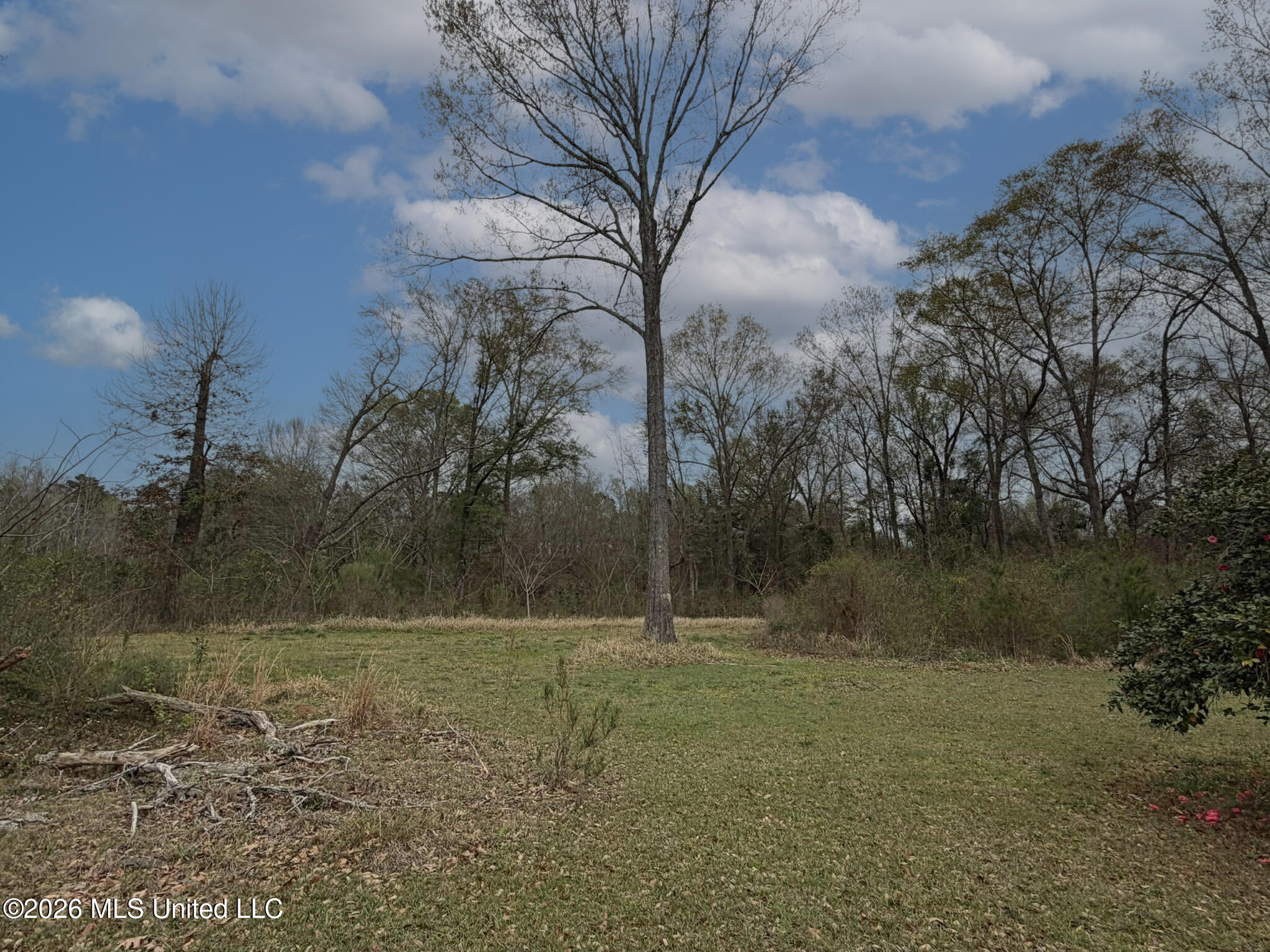 1278 Hillard Howell Road Lucedale, MS 39452 - Photo 30 of 33 6 (1)
