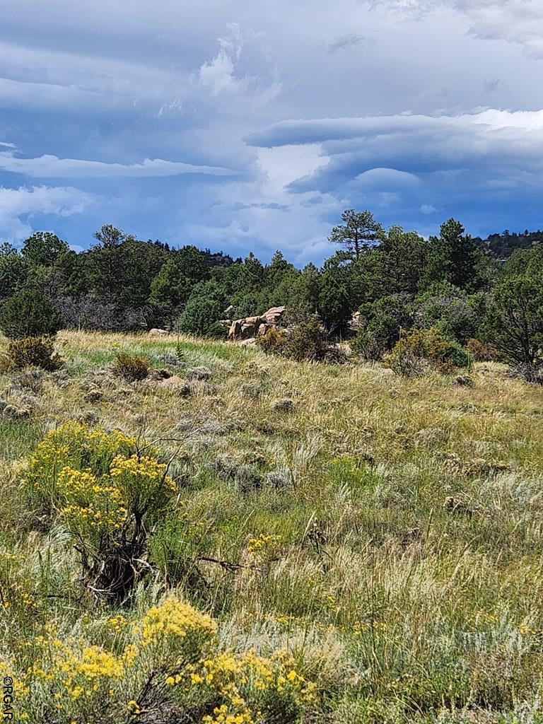 15 Arroyo Road Westcliffe, CO 81252 - Photo 22 of 29 Gallery Image 22