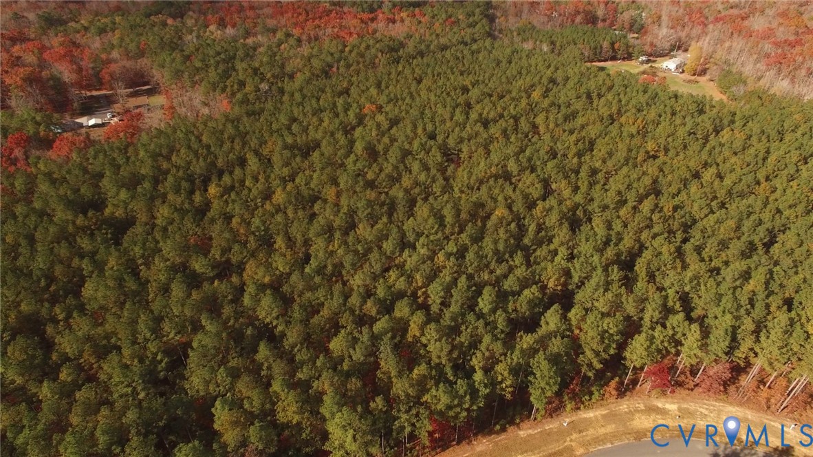 1140 Cardinal Crst Terrace Midlothian, VA 23113 - Photo 7 of 11 a view of a tree