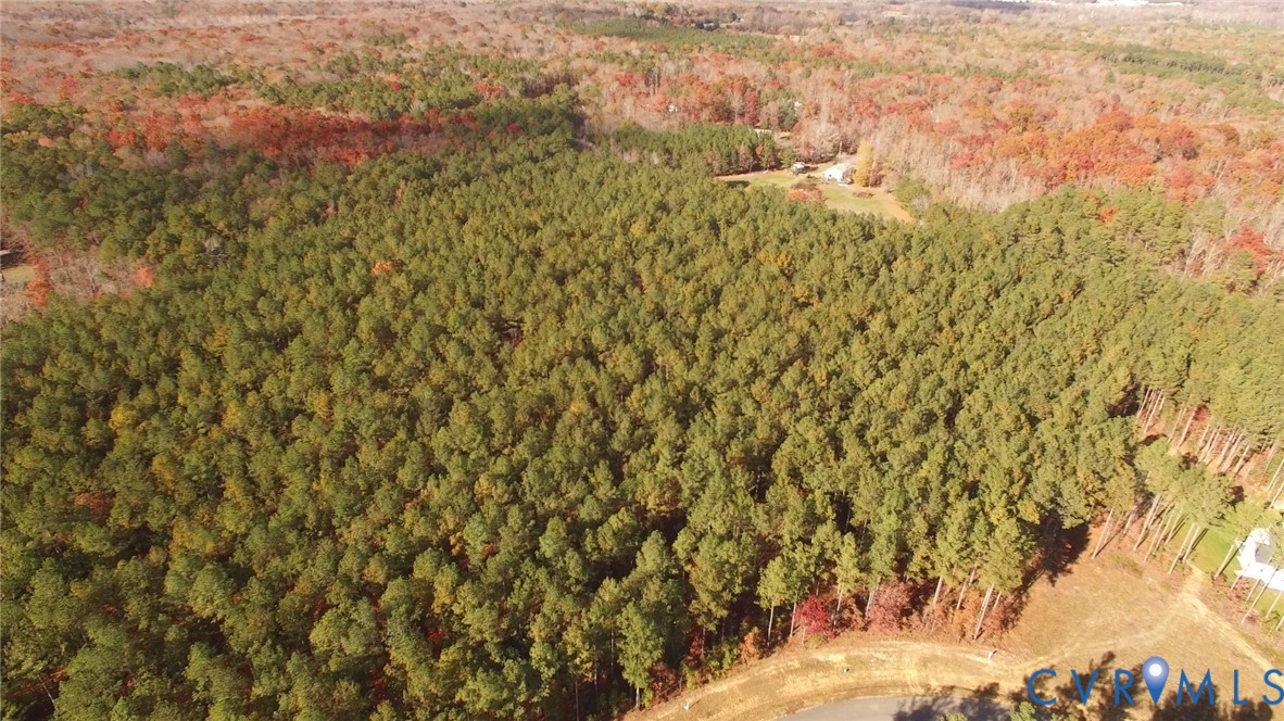 1140 Cardinal Crst Terrace Midlothian, VA 23113 - Photo 9 of 11 a view of a yard