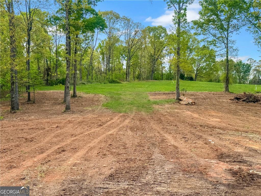 101 Broad River Road Eastanollee, GA 30538 - Photo 7 of 11 Gallery Image 7