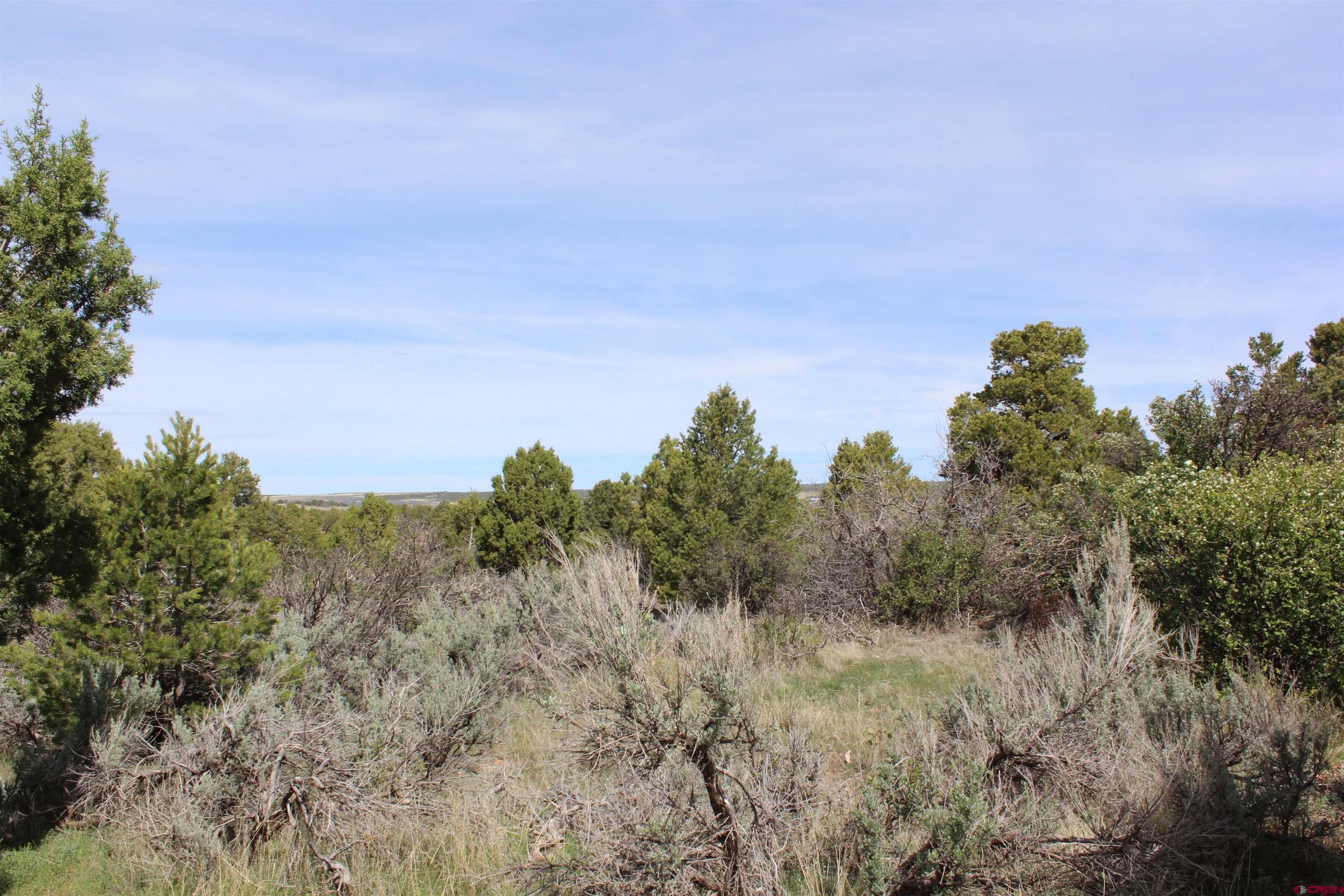 15767 Rd M 9 Cahone, CO 81320 - Photo 30 of 38