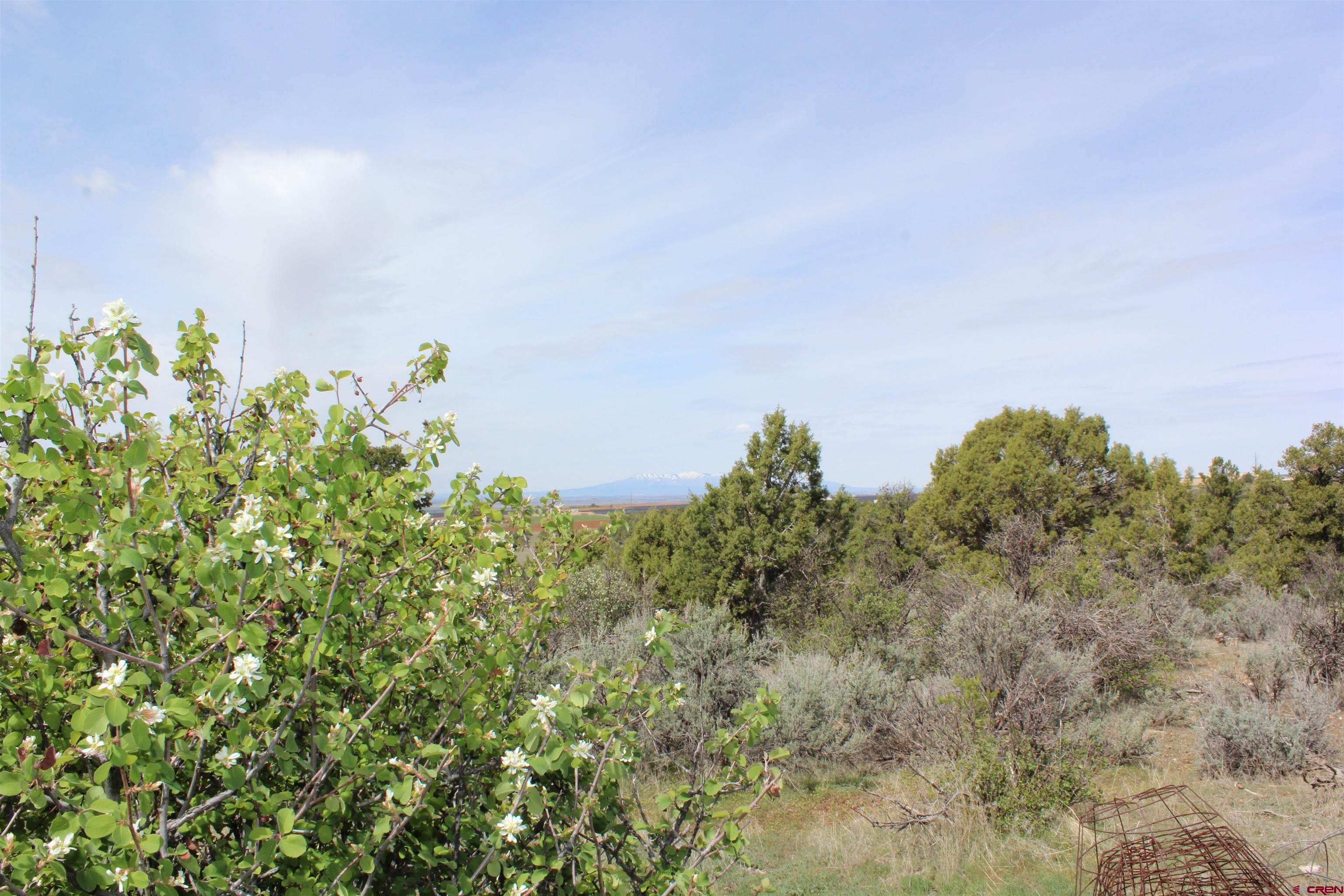 15767 Rd M 9 Cahone, CO 81320 - Photo 31 of 38