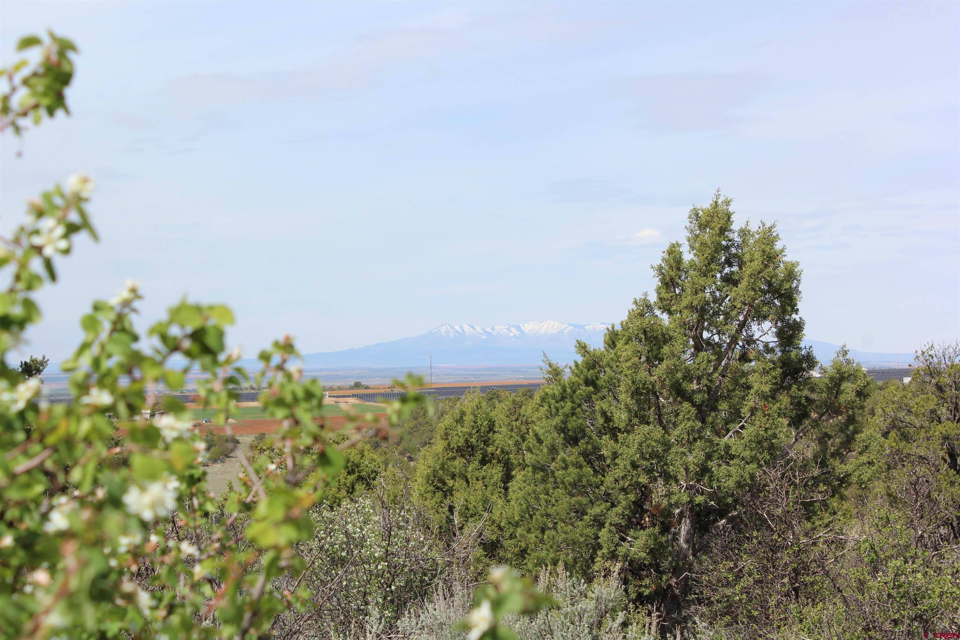 15767 Rd M 9 Cahone, CO 81320 - Photo 32 of 38