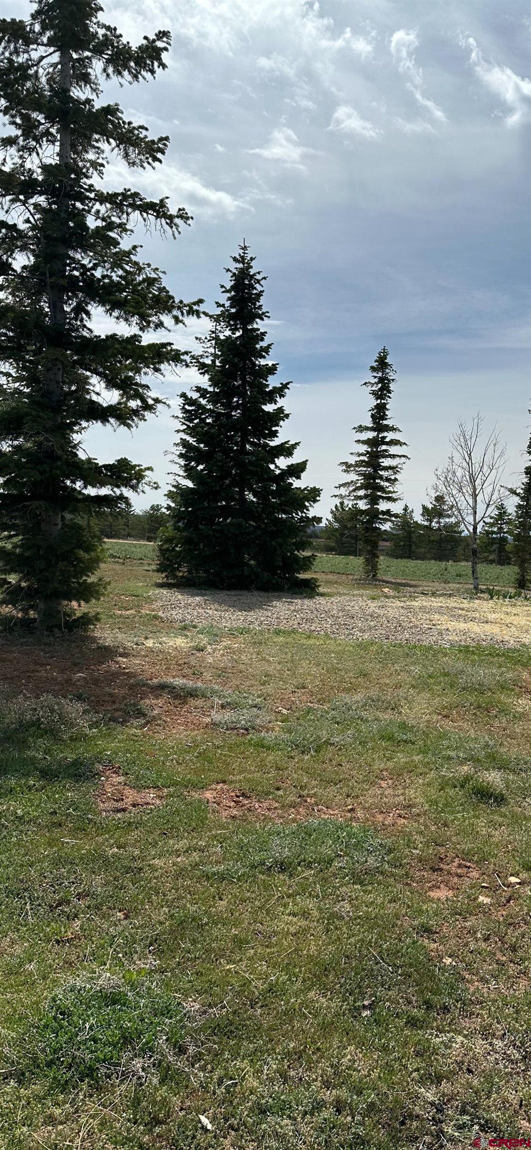 15767 Rd M 9 Cahone, CO 81320 - Photo 36 of 38