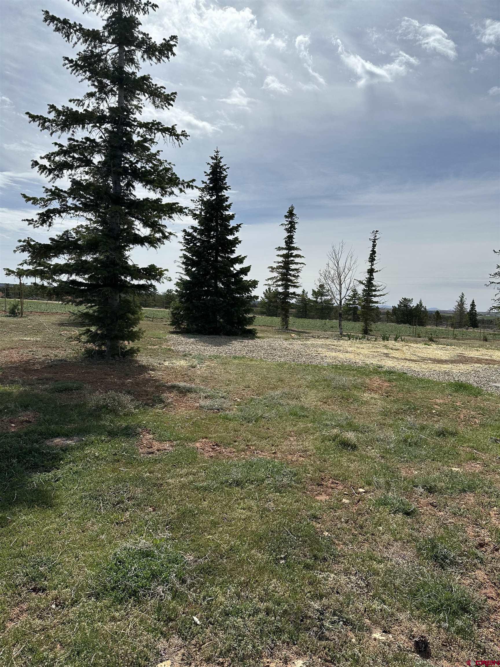 15767 Rd M 9 Cahone, CO 81320 - Photo 38 of 38