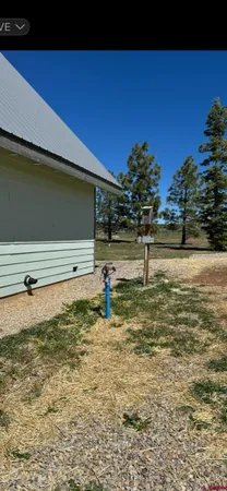 a view of a yard
