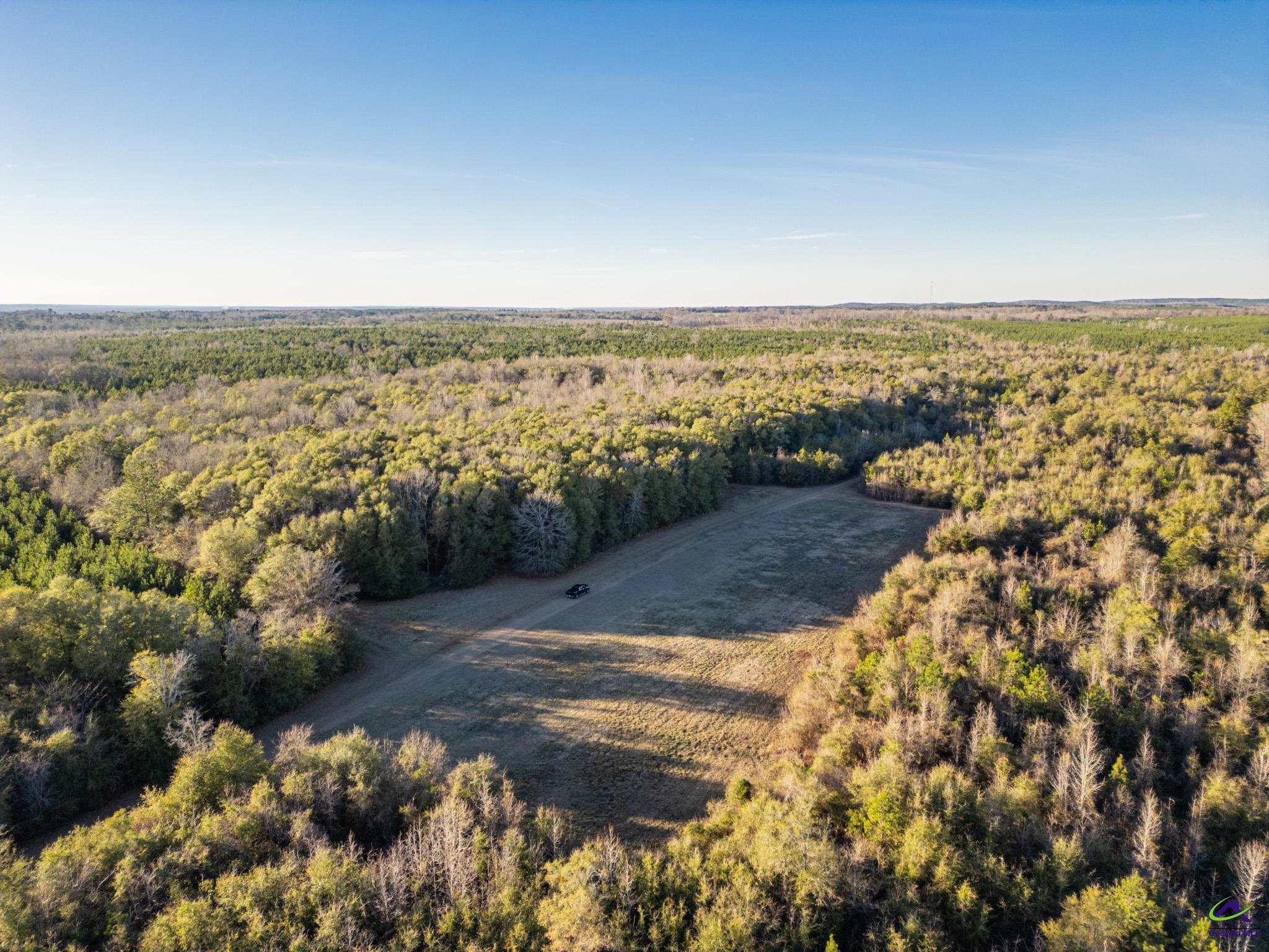 9036 Bullard Road Dry Branch, GA 31020 - Photo 59 of 72