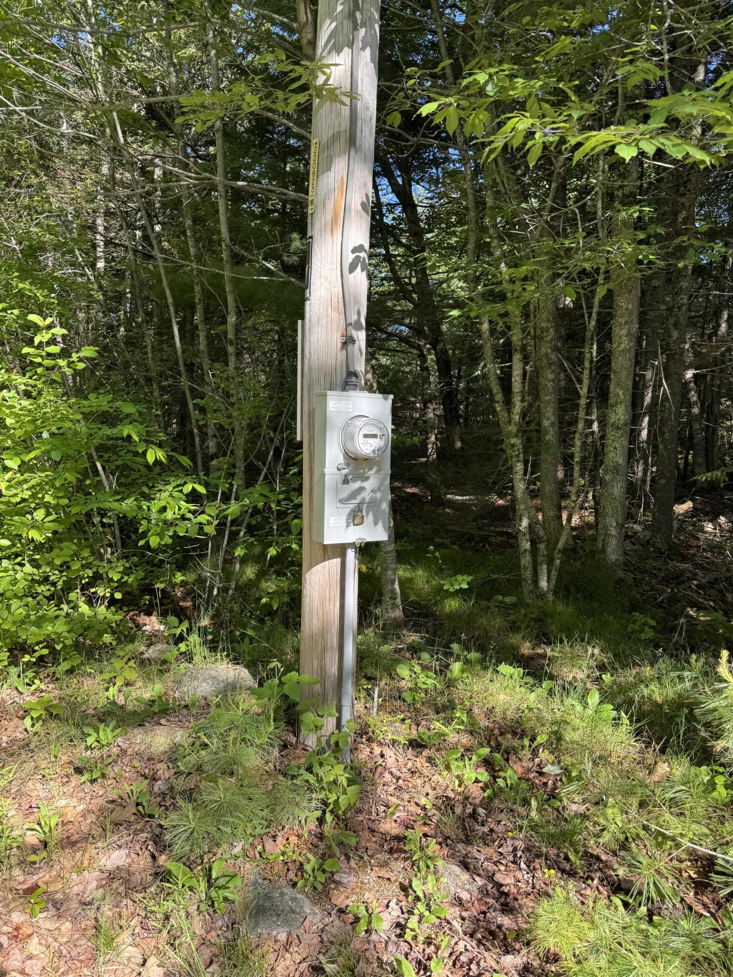 539 Sedgwick Ridge Road Sedgwick, ME 04676 - Photo 5 of 13