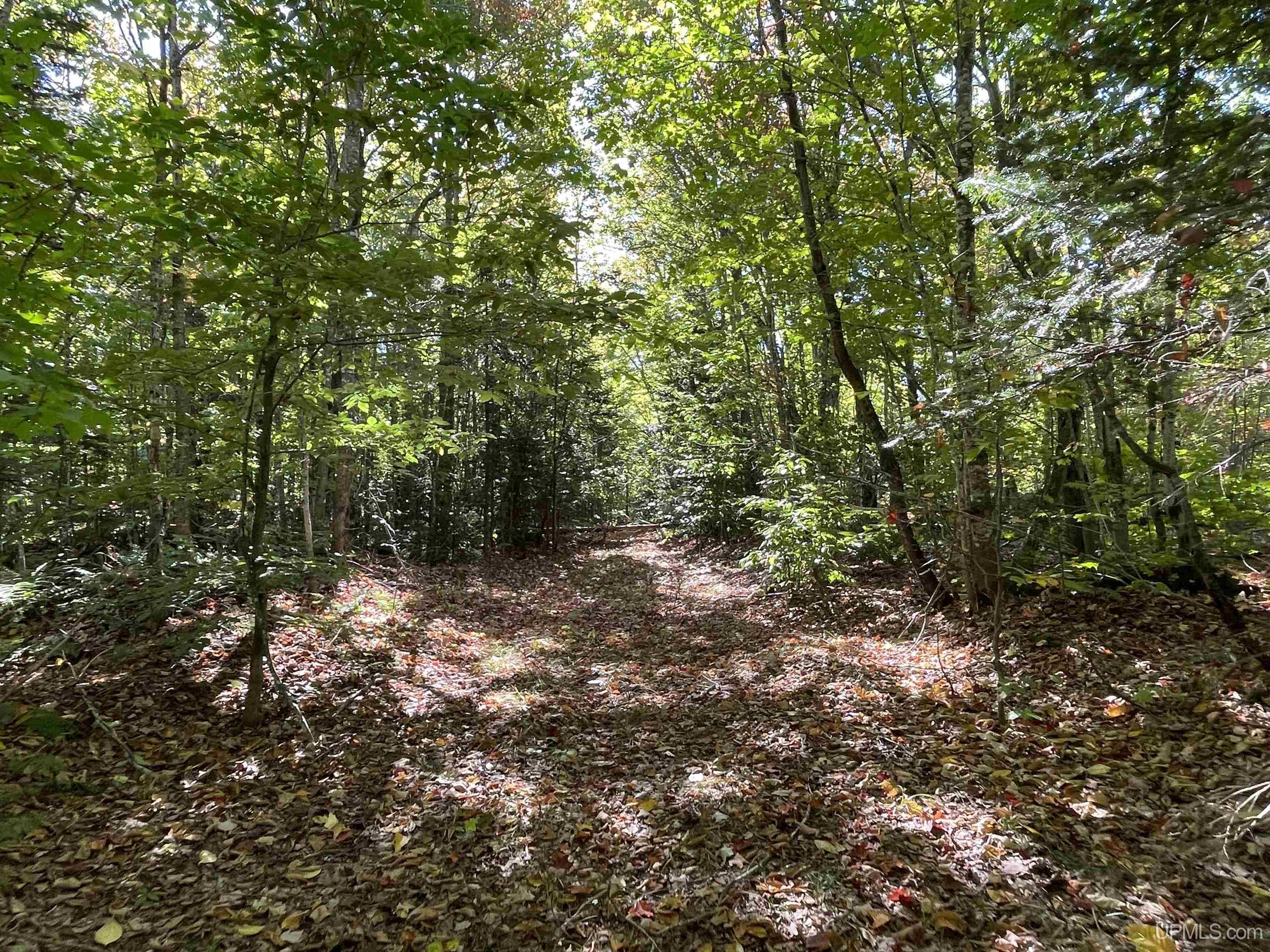 160 Acres Off H-58 Road Seney, MI 49883 - Photo 15 of 26