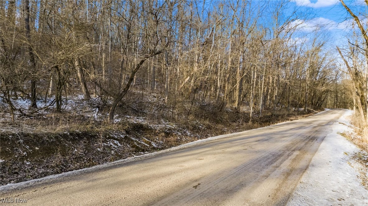 0 Skull Fork Road Freeport, OH 43973 - Photo 19 of 22 Gallery Image 19
