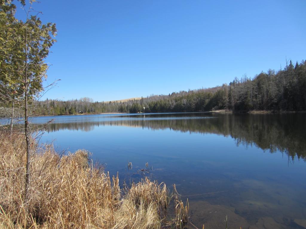 0 Lime Pond Road Colebrook, NH 03576 - Photo 2 of 3