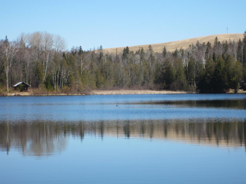 0 Lime Pond Road Colebrook, NH 03576 - Photo 3 of 3