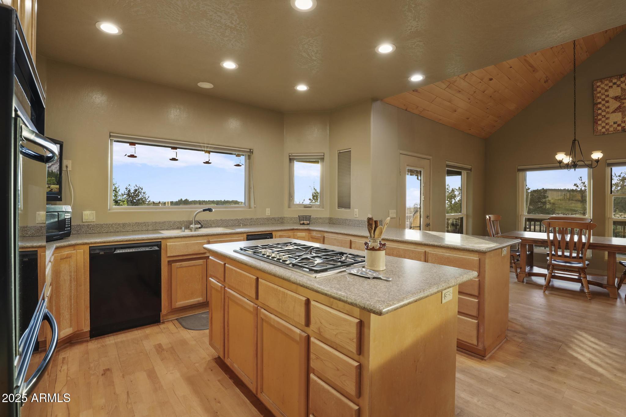 131 West Hunt Ranch Road Pine, AZ 85544 - Photo 14 of 65 1E0A6144