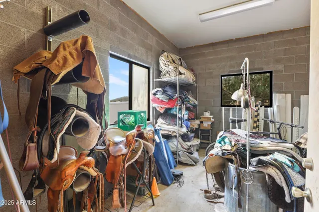 a view of a yard with trees