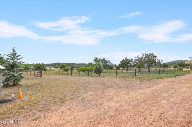 a view of a dry yard with mountain
