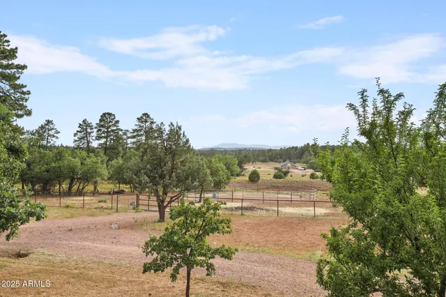 a view of a dry yard with wooden fence