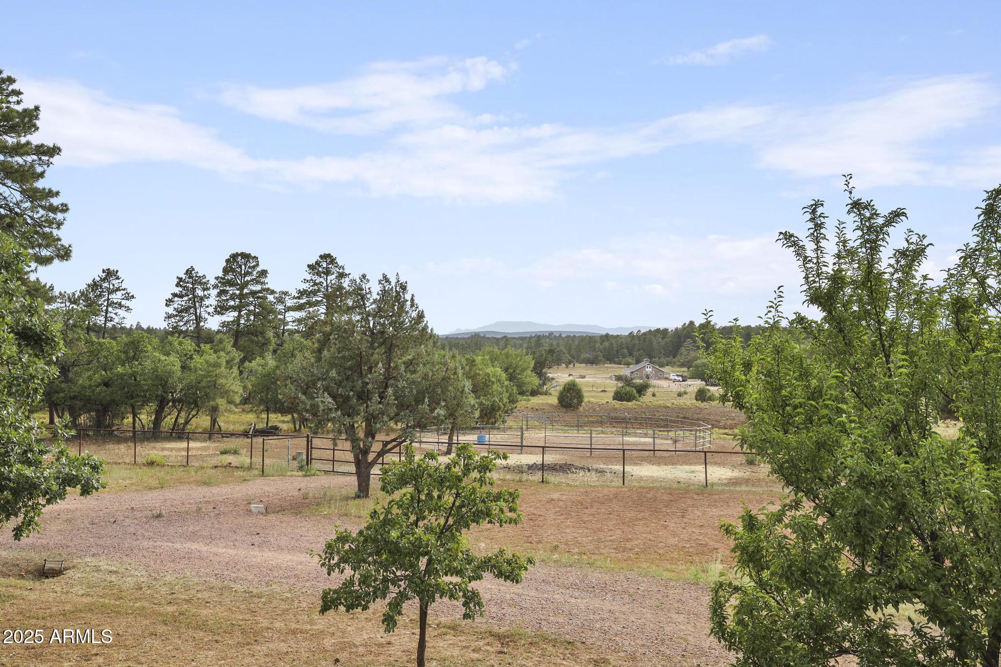 131 West Hunt Ranch Road Pine, AZ 85544 - Photo 49 of 65 a view of a yard with palm trees