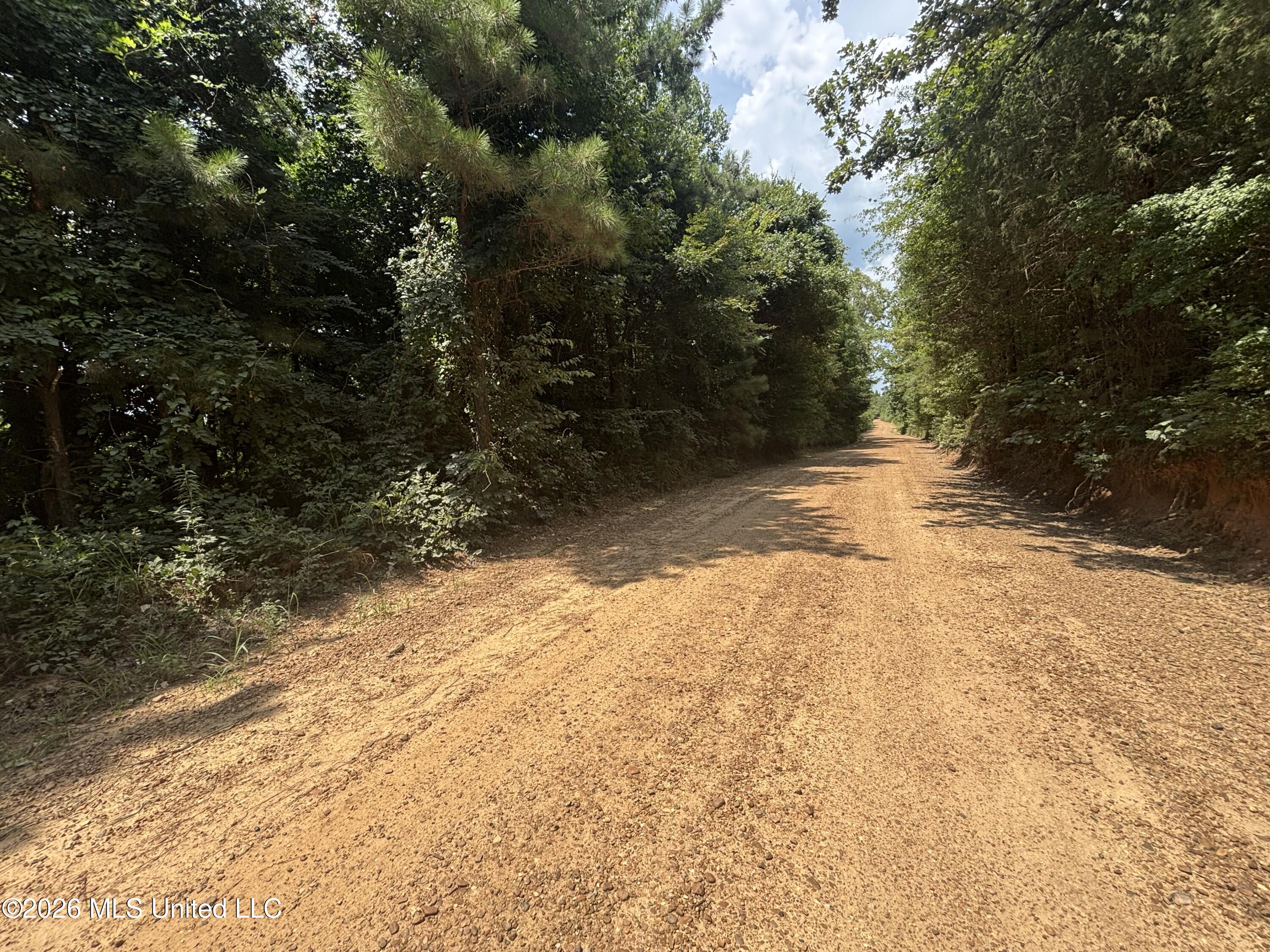 Firetower Road Camden, MS 39045 - Photo 4 of 12 IMG_4810