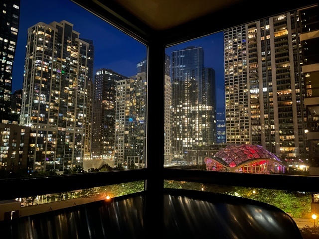 Undisclosed Address Chicago, IL 60601 - Photo 16 of 19 a view of a balcony