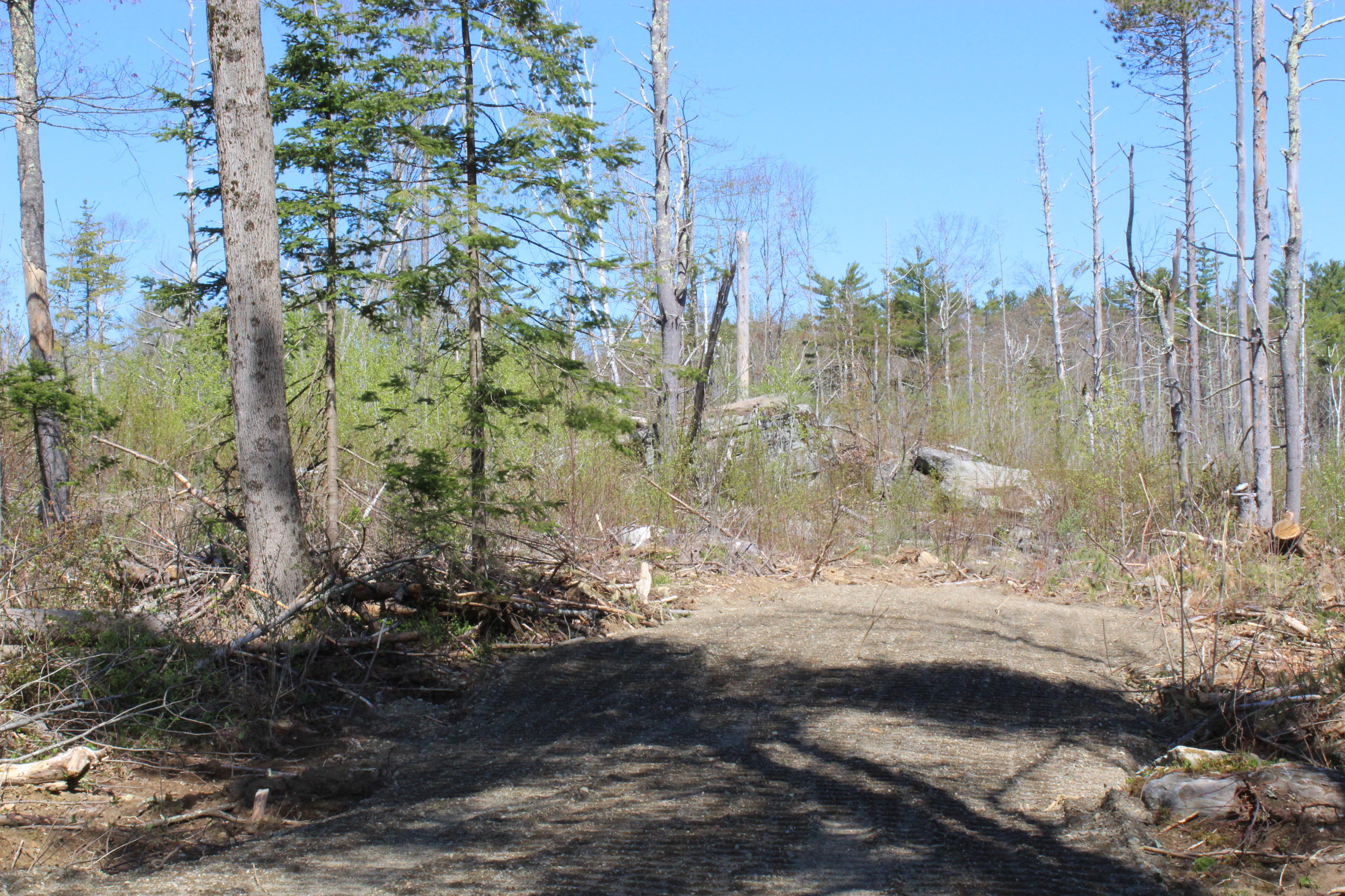 Parcel A Kendall Corner Road Belfast, ME 04915 - Photo 4 of 4 IMG_0469