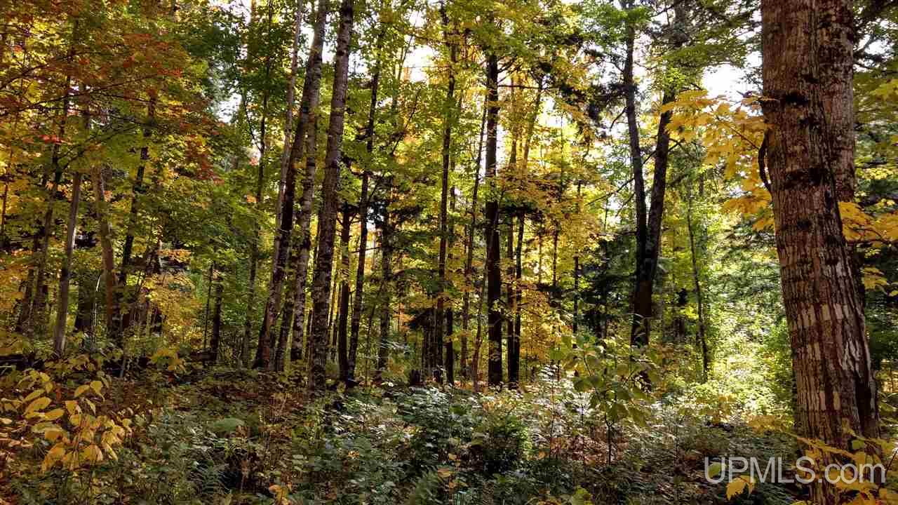 Tbd Tbd Big Bay Road Skanee, MI 49962 - Photo 32 of 50