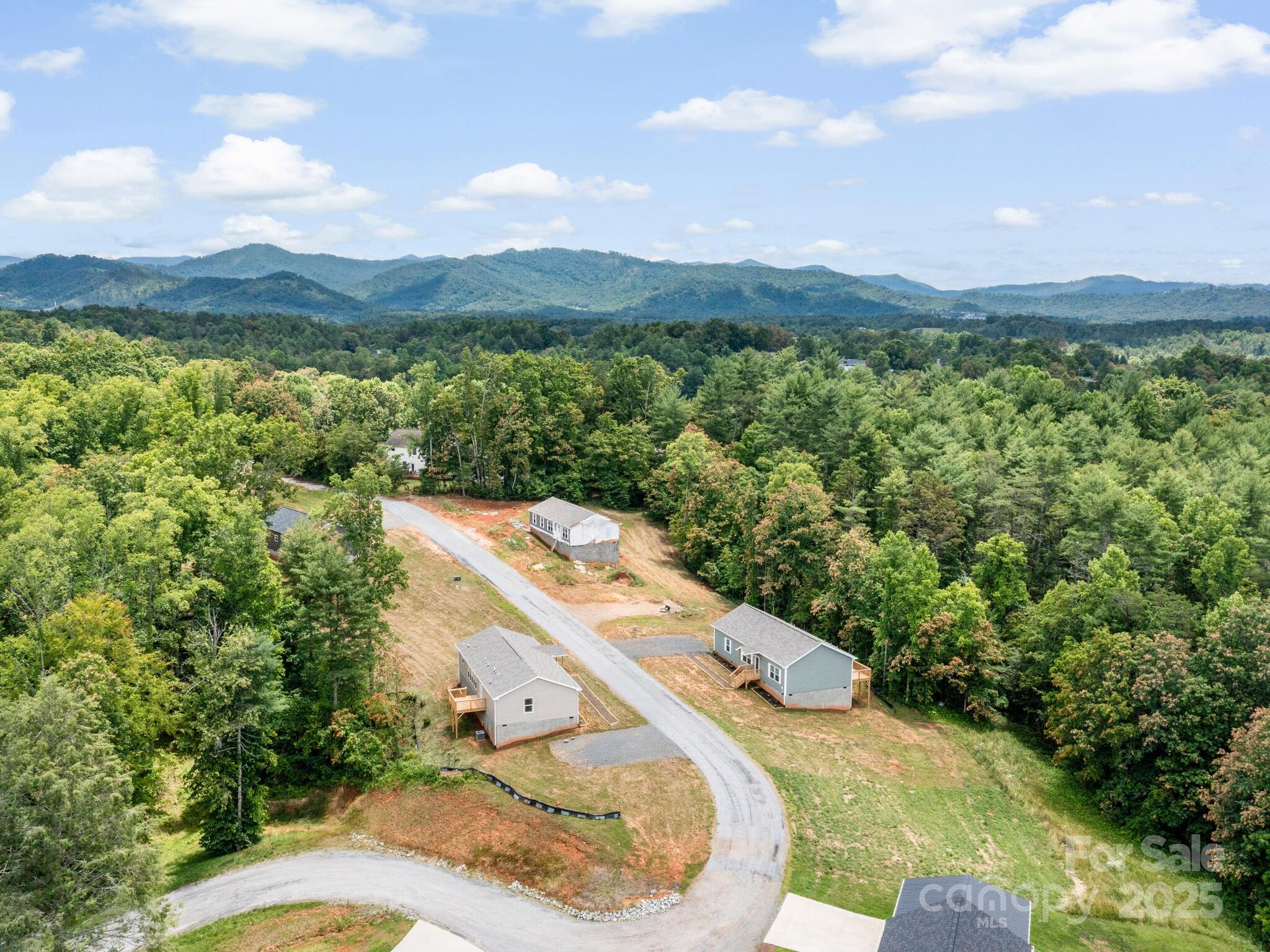 206 Walnut Br Road Weaverville, NC 28787 - Photo 18 of 18 a view of a house with a yard and mountain