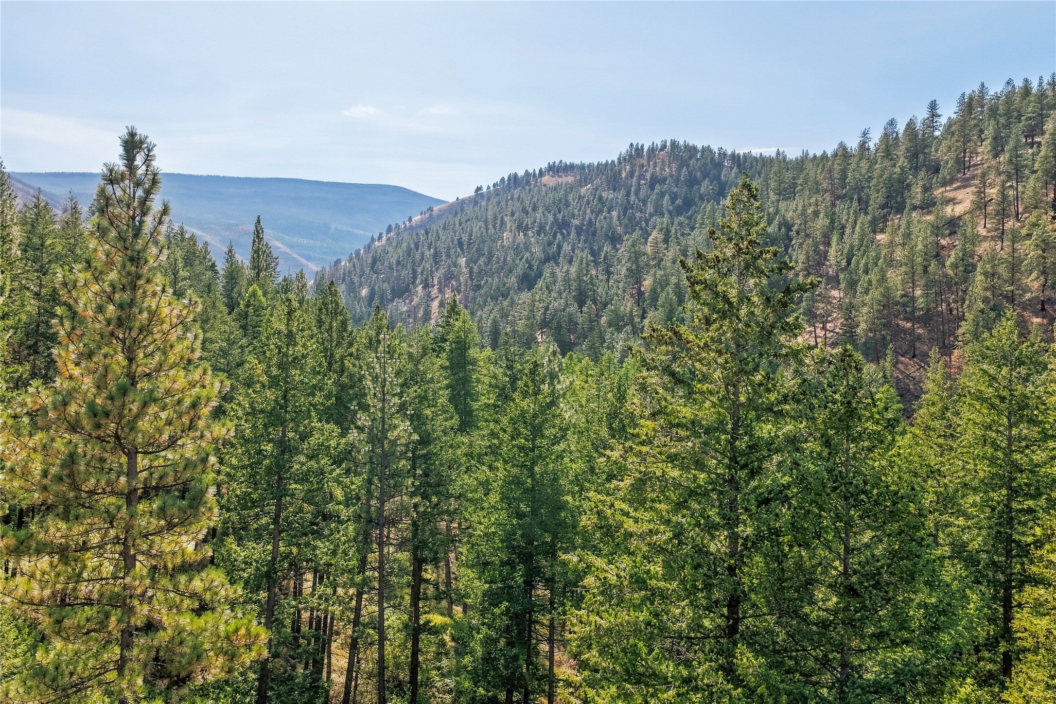 14605 Mormon Creek Road Lolo, MT 59847 - Photo 68 of 71 Gallery Image 68