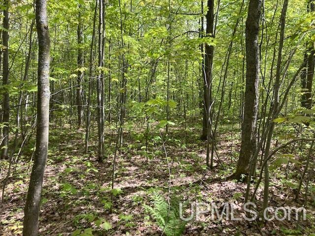 2 Boundary Road Chassell, MI 49916 - Photo 47 of 77