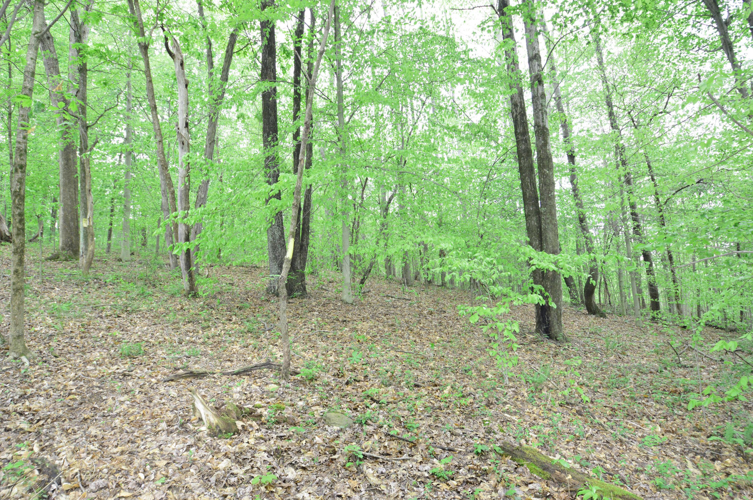 34654 Hunters Woods Road Logan, OH 43138 - Photo 5 of 8 Gallery Image 5