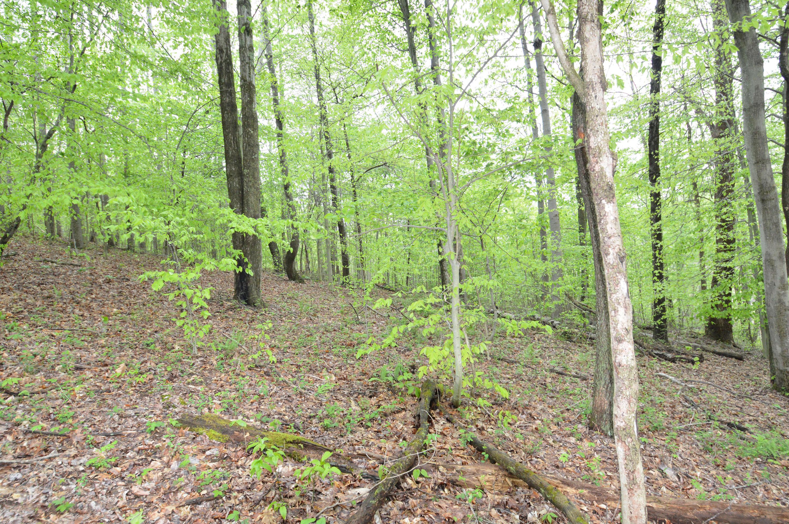 34654 Hunters Woods Road Logan, OH 43138 - Photo 6 of 8 Gallery Image 6