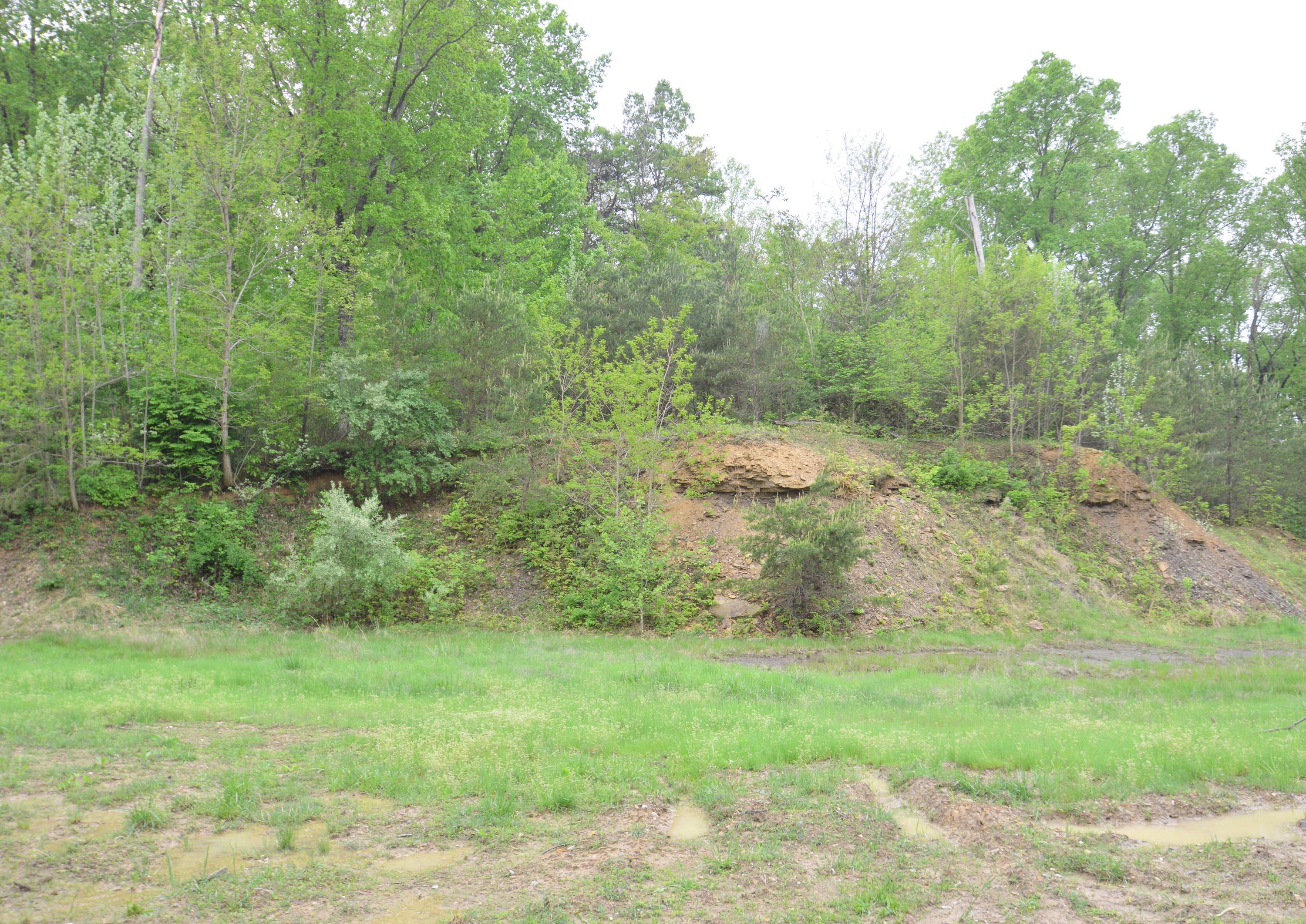 34654 Hunters Woods Road Logan, OH 43138 - Photo 7 of 8 Gallery Image 7